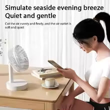 Electric Fan Home